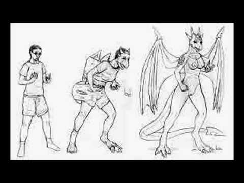 Dragon Transformation Sequences Dragon Transformation Sequences